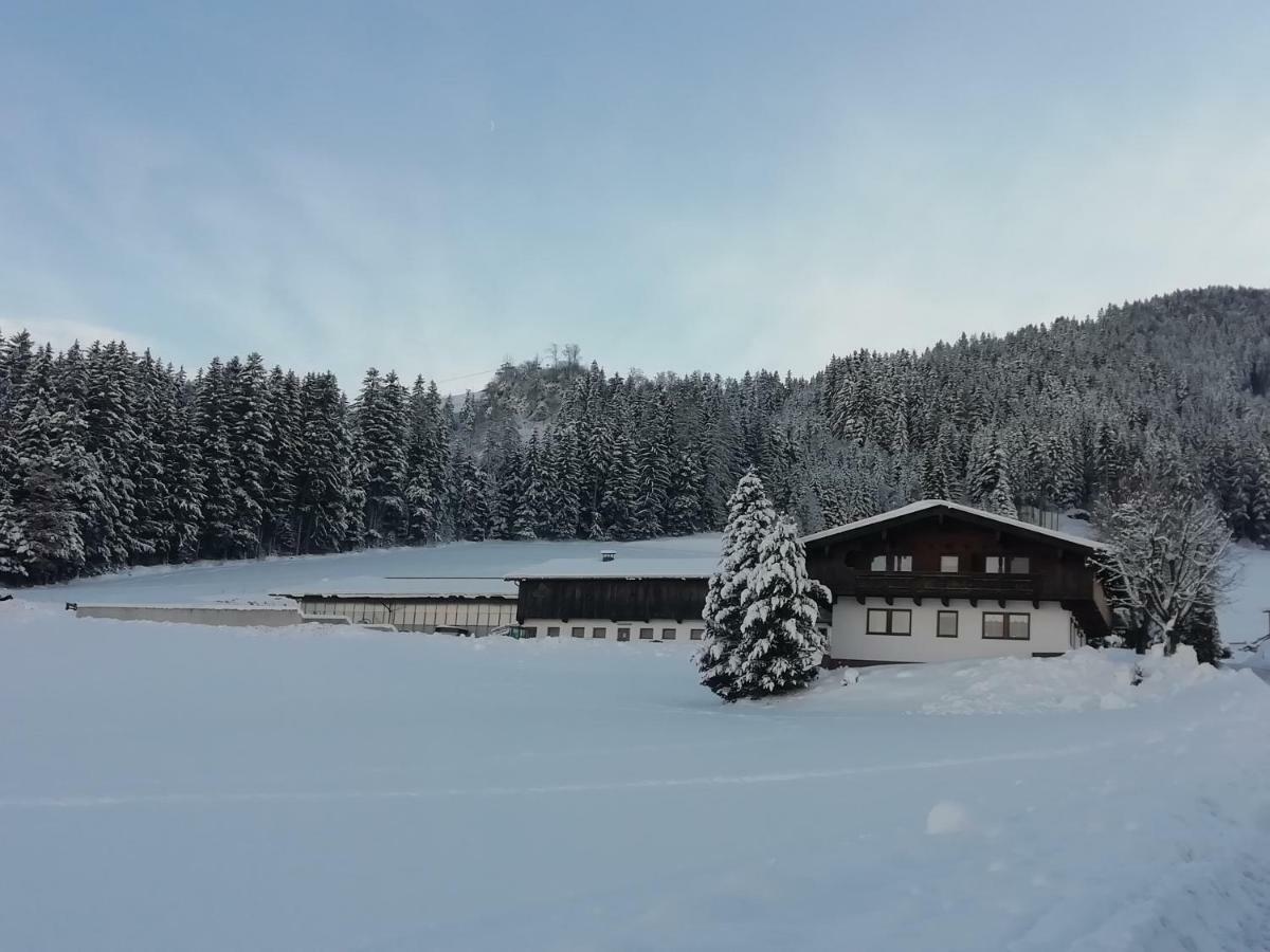 Ferienwohnung Angererhof 里斯奥尔巴赫塔 外观 照片